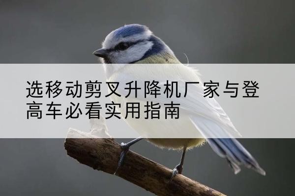 吴堡电动升降机厂家-选移动剪叉升降机厂家与登高车必看实用指南