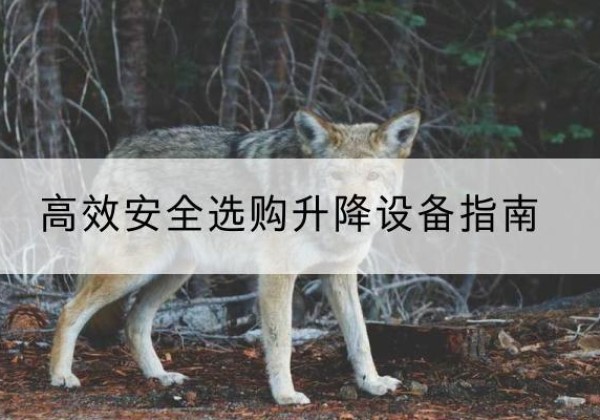吴堡升降货梯厂家推荐-*安全选购升降设备指南