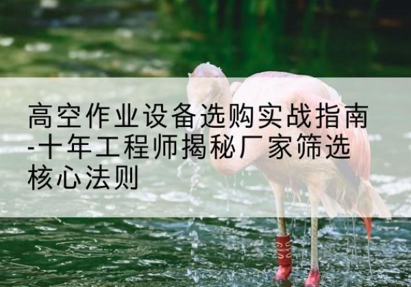 吴堡剪叉式升降机厂家-高空作业设备选购实战指南-十年工程师揭秘厂家筛选核心法则